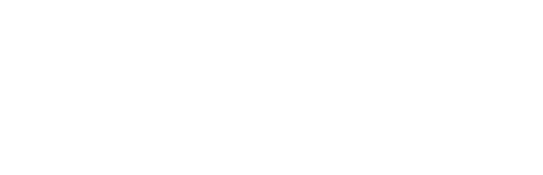 VIRTUOUS ICSC